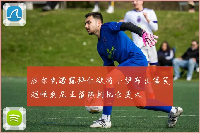 法尔克透露拜仁欲将小伊布出售英超帕利尼亚留热刺机会更大